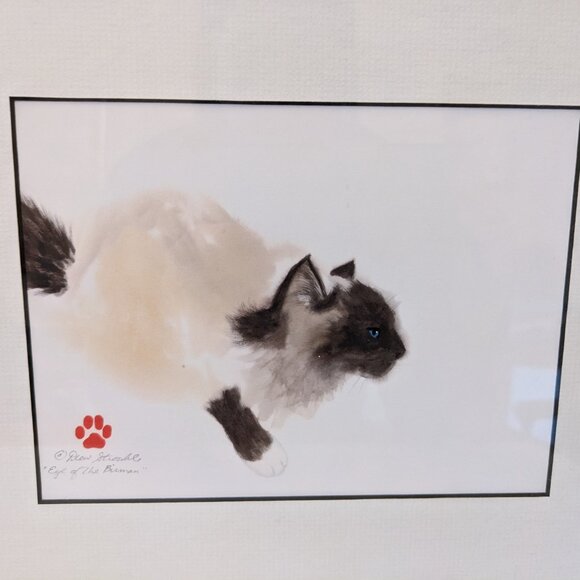 Gorgeous Framed Birman Cat Art Print - "Eye of the Birman" Watercolor Signed - Picture 5 of 6